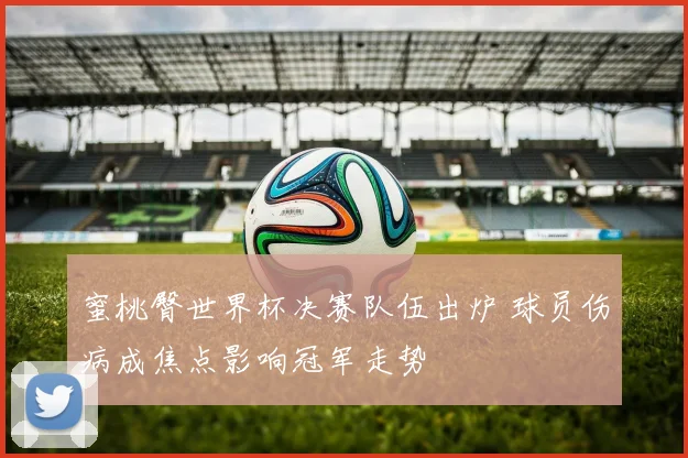 蜜桃臀世界杯决赛队伍出炉 球员伤病成焦点影响冠军走势