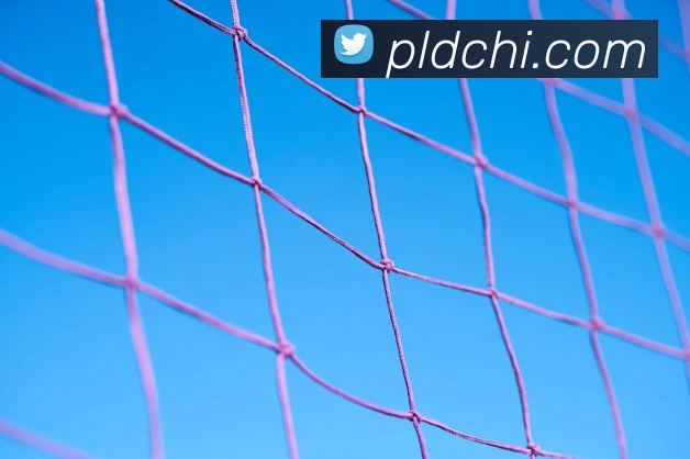 乐竞官网首页登录入口APP 高清赛事图